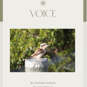 The Voice Within