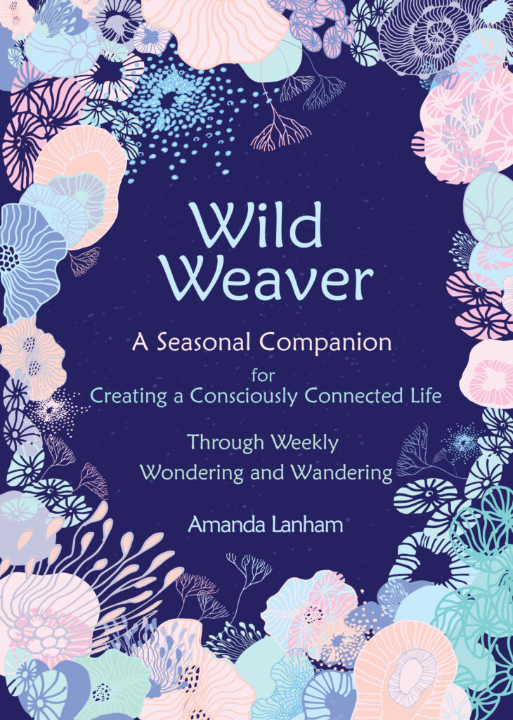 Wild weaver cover